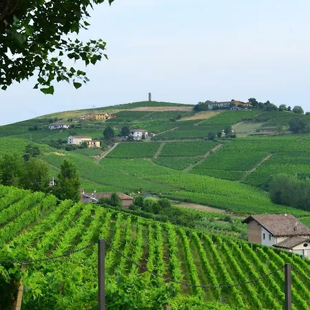 I Grappoli * Canelli