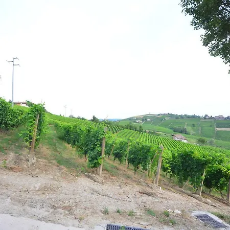 I Grappoli * Canelli