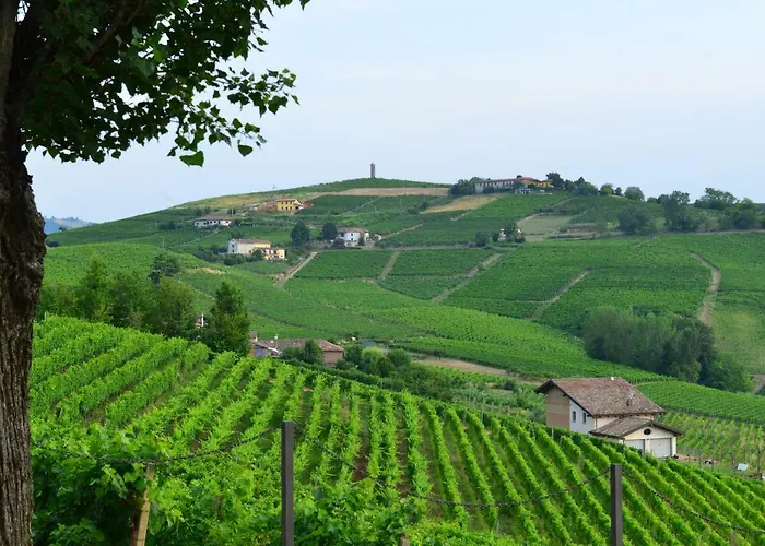 I Grappoli * Канелли