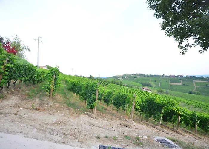 I Grappoli * Канелли